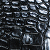 Black Alligator Color Swatch
