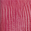 Desert Pink American Lizard Color Swatch
