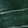 Hunter Green Alligator Color Swatch