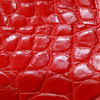 Red Alligator Color Swatch