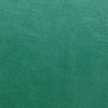 swatch of green vinyl