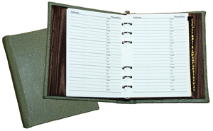 reptile-grain jade alligator address book inside sheets